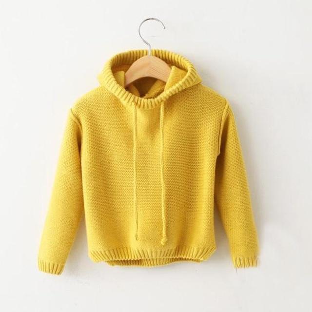 Höst/vinter pullover